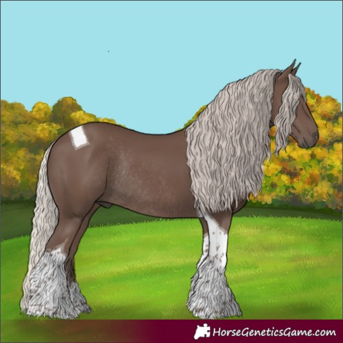 Horse Color:Silver Black Tobiano Rabicano