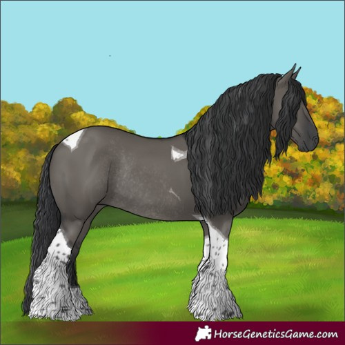 Horse Color:Grullo Tobiano Rabicano 