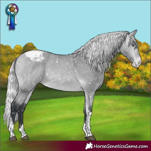 Horse Color:Silver Bay Chinchilla Tobiano Snowcap 