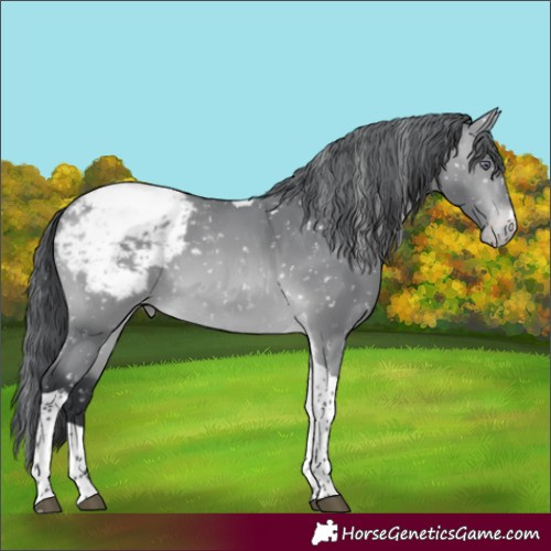Horse Color:Bay Chinchilla Tobiano Snowcap 