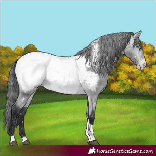 Horse Color:Bay Chinchilla Tobiano Near Fewspot 