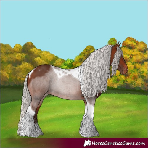 Horse Color:Silver Bay Tobiano Skewed LP Spotted
