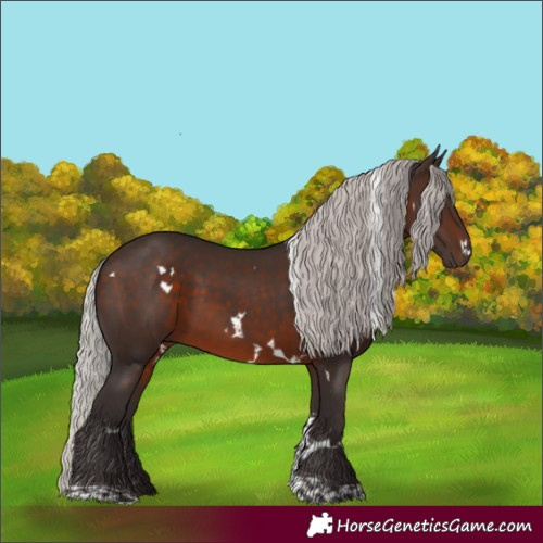 Horse Color:White Spotted Silver Brown Tobiano