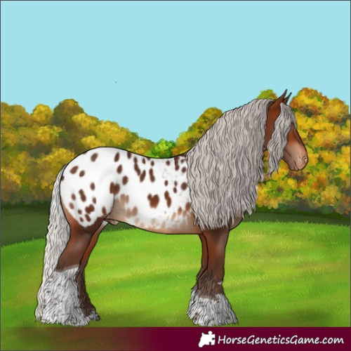 Horse Color:Silver Brown Tobiano Blanket