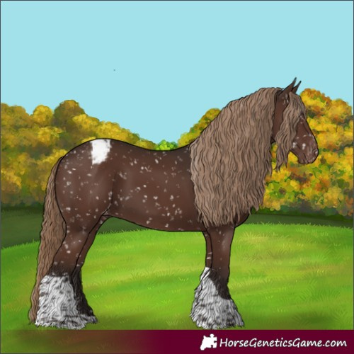 Horse Color:Liver Chestnut Tobiano Snowflake Varnish