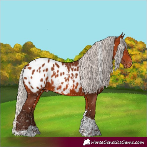 Horse Color:Silver Bay Tobiano Blanket
