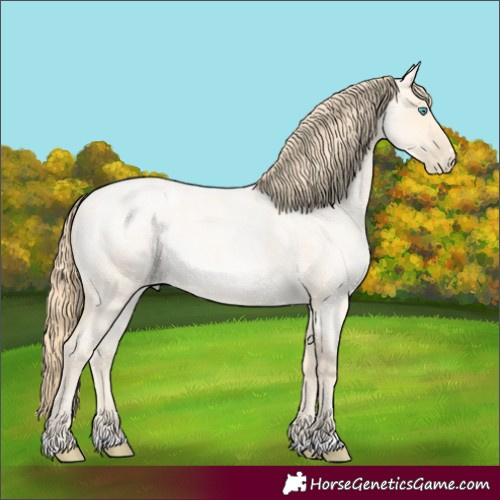 Horse Color:Buckskin Roan Pearl and Buckskin Roan Pearl