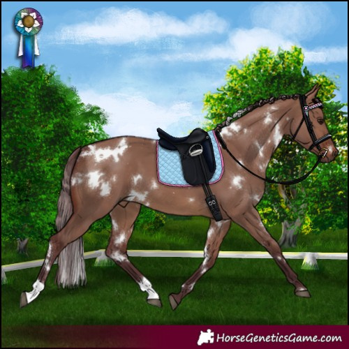 Horse Color:White Spotted Chocolate Brown Dun