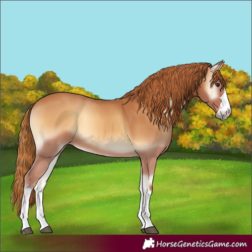 Horse Color:Red Onyx 