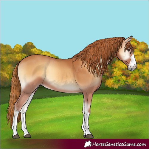 Horse Color:Red Onyx 