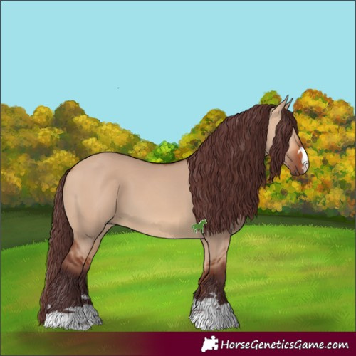Horse Color:Chocolate Bay Dun 