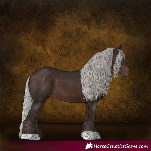 Horse Color:Silver Brown