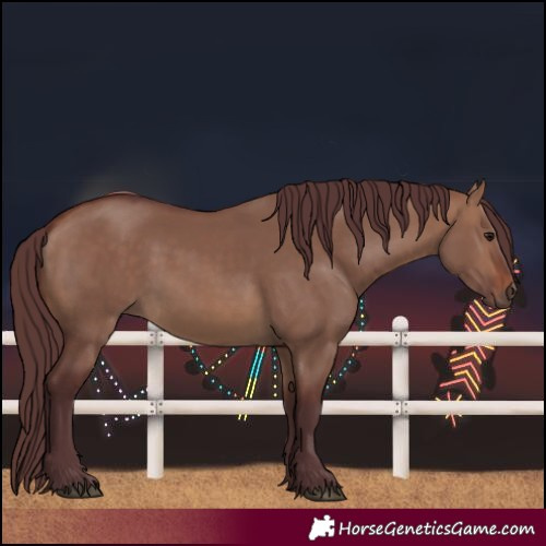 Horse Color:Chocolate Brown Dun 