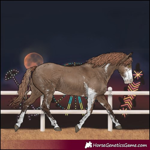 Horse Color:Liver Red Dun Sabino Rabicano 