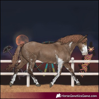 Horse Color:Liver Red Dun Sabino Rabicano