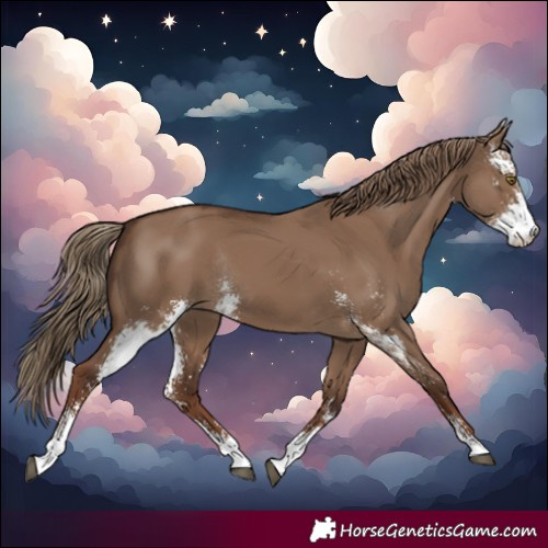 Horse Color:Liver Red Dun Sabino Rabicano 
