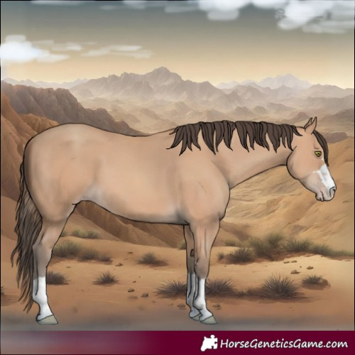 Horse Color:Amber Champagne 