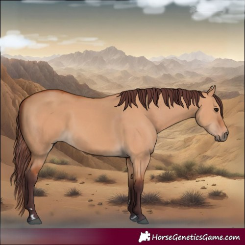 Horse Color:Chocolate Bay Dun 