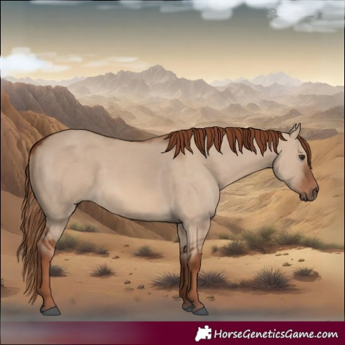 Horse Color:Red Dun