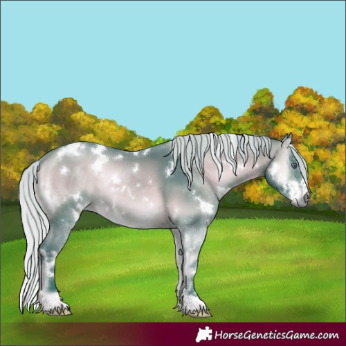 Horse Color:Watercolor White Spotted Silver Brown Chinchilla Onyx