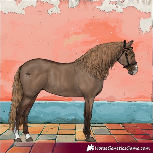 Horse Color:Liver Red Dun Sabino Rabicano