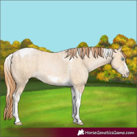 Horse Color:Chocolate Palomino Pearl Dun Tobiano Frame and Buckskin Pearl Dun Tobiano Frame