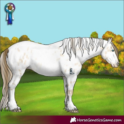 Horse Color:White Spotted Smoky Grullo Pearl Appaloosa Rabicano 