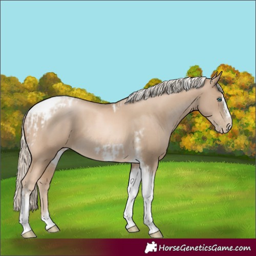 Horse Color:Chocolate Palomino Pearl Tobiano Frame and Chocolate Palomino Pearl Tobiano Frame