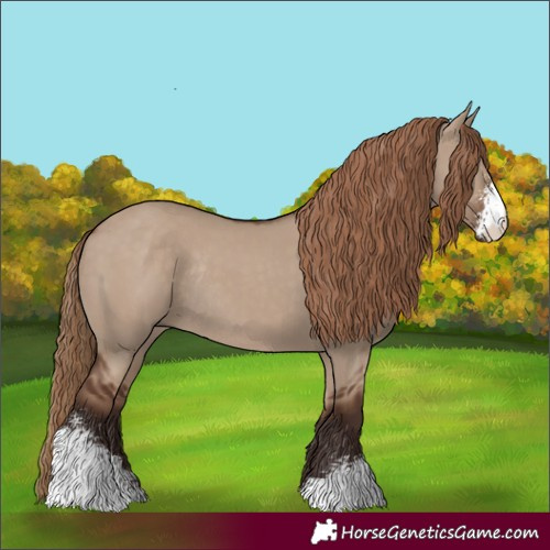 Horse Color:Liver Red Dun Sabino Rabicano 