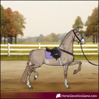 Horse Color:Liver Red Dun Sabino Rabicano 