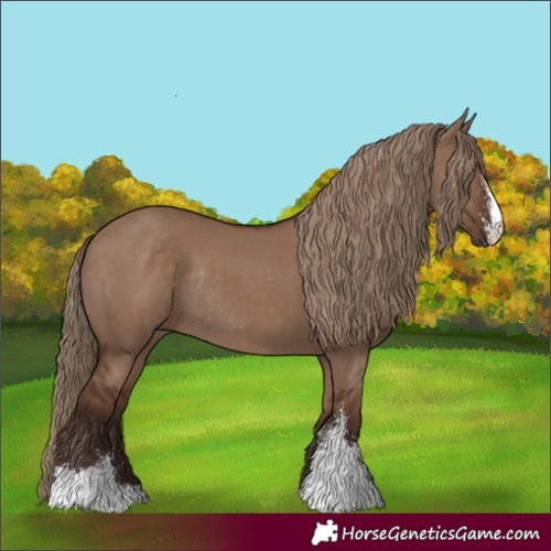 Horse Color:Liver Red Dun Sabino Rabicano