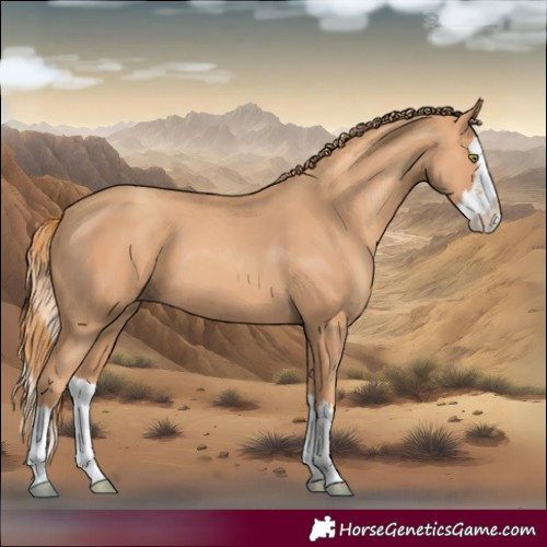 Horse Color:Gold Champagne Splash 