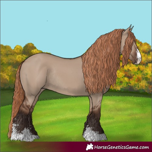 Horse Color:Liver Red Dun Sabino Rabicano