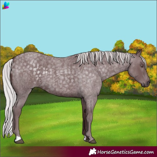 Horse Color:Chocolate Silver Blue Chinchilla Roan 