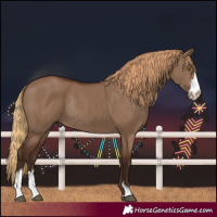 Horse Color:Liver Red Dun Sabino Rabicano 