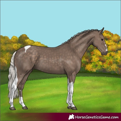 Horse Color:Silver Black Tobiano