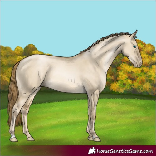 Horse Color:Buckskin Pearl Dun