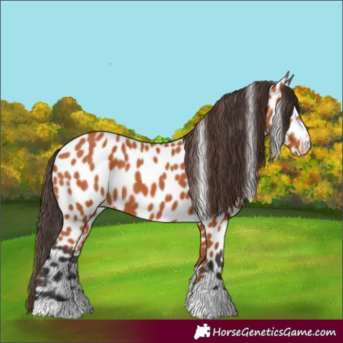 Horse Color:Bay Leopard 