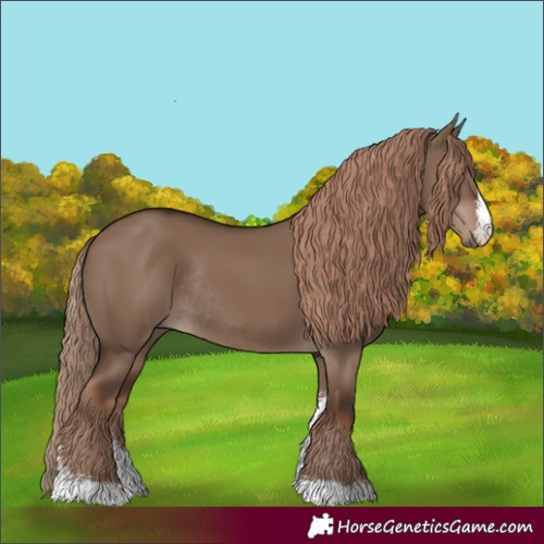 Horse Color:Liver Red Dun Sabino Rabicano