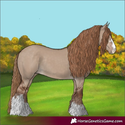 Horse Color:Liver Red Dun Sabino Rabicano 