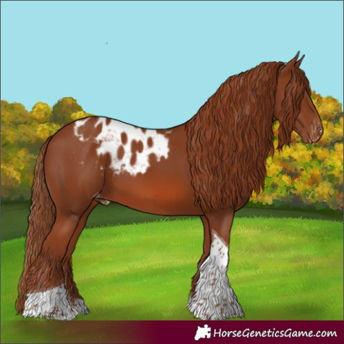 Horse Color:Chestnut Tobiano Skewed LP Spotted