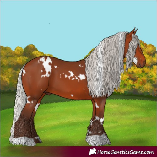 Horse Color:White Spotted Silver Bay