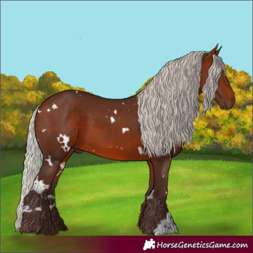 Horse Color:White Spotted Silver Brown