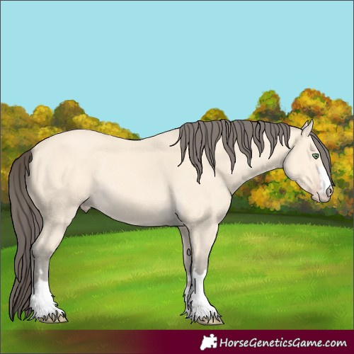 Horse Color:Amber Cream Champagne 
