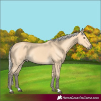Horse Color:Silver Buckskin 