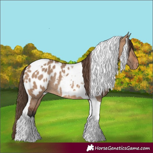 Horse Color:Bay Dun Tobiano Appaloosa Rabicano 