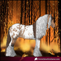 Horse Color:Bay Dun Tobiano Near Leopard Rabicano 