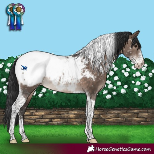Horse Color:Brown Dun Mushroom Sabino Tobiano Near Fewspot Rabicano