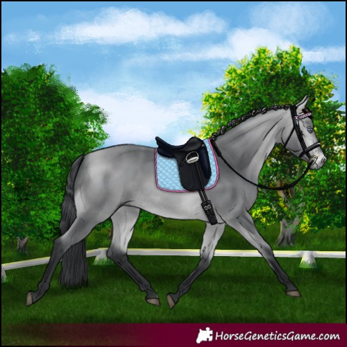 Horse Color:Bay Chinchilla