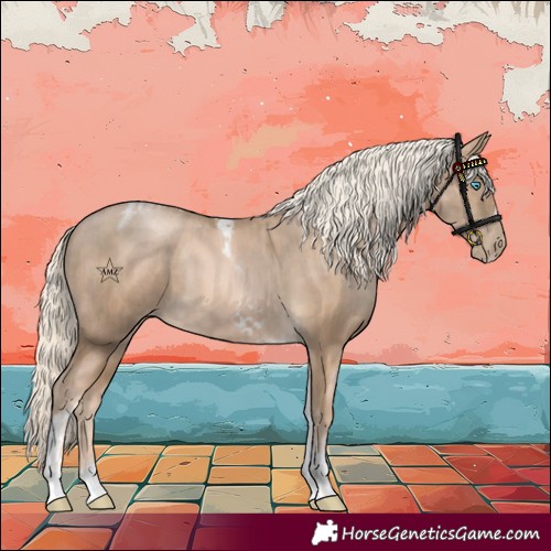Horse Color:Chocolate Palomino Pearl Tobiano Frame  and Chocolate Palomino Pearl Tobiano Frame 
